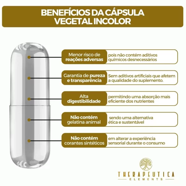 Coenzima Q10 120mg + Vitaminas ADEK Vegan 60 Cápsulas Therapeutica - Imagem 5