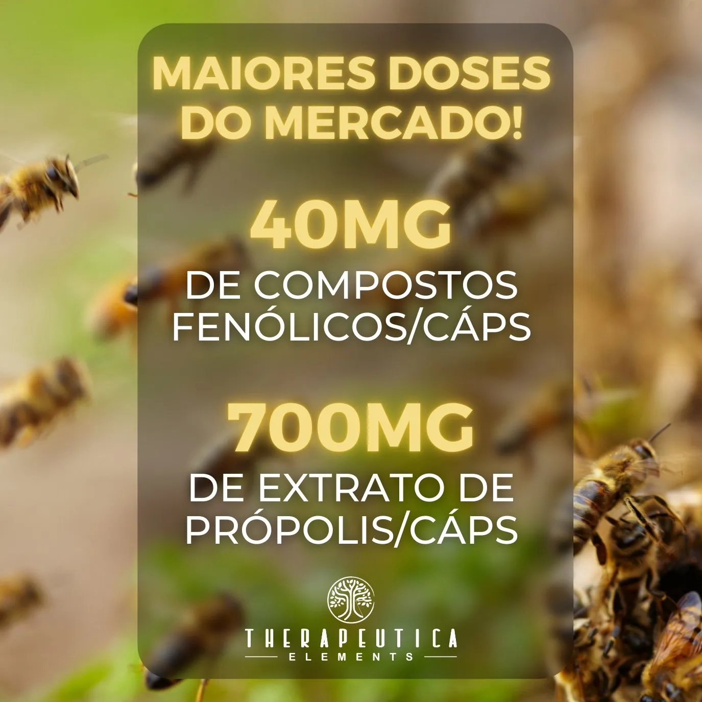 Power Green Própolis Verde 700mg 60 Cápsulas - Imagem 2